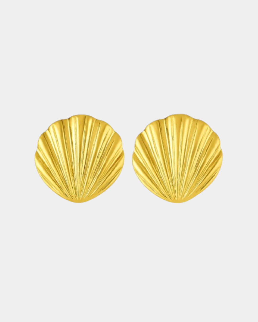 Shell Earrings
