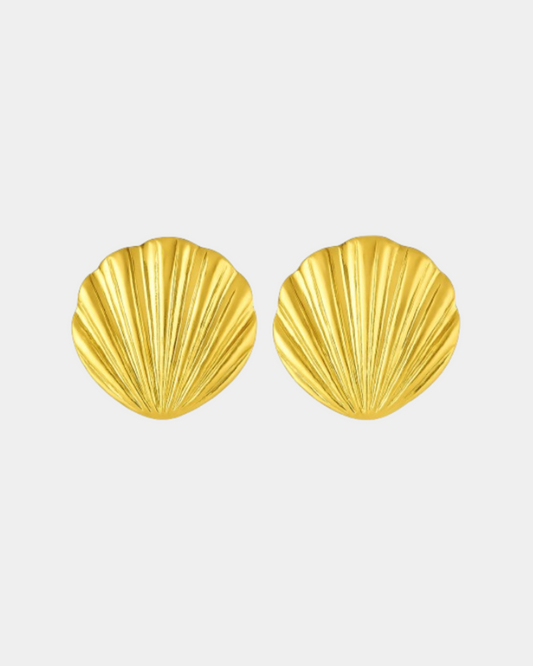 Shell Earrings
