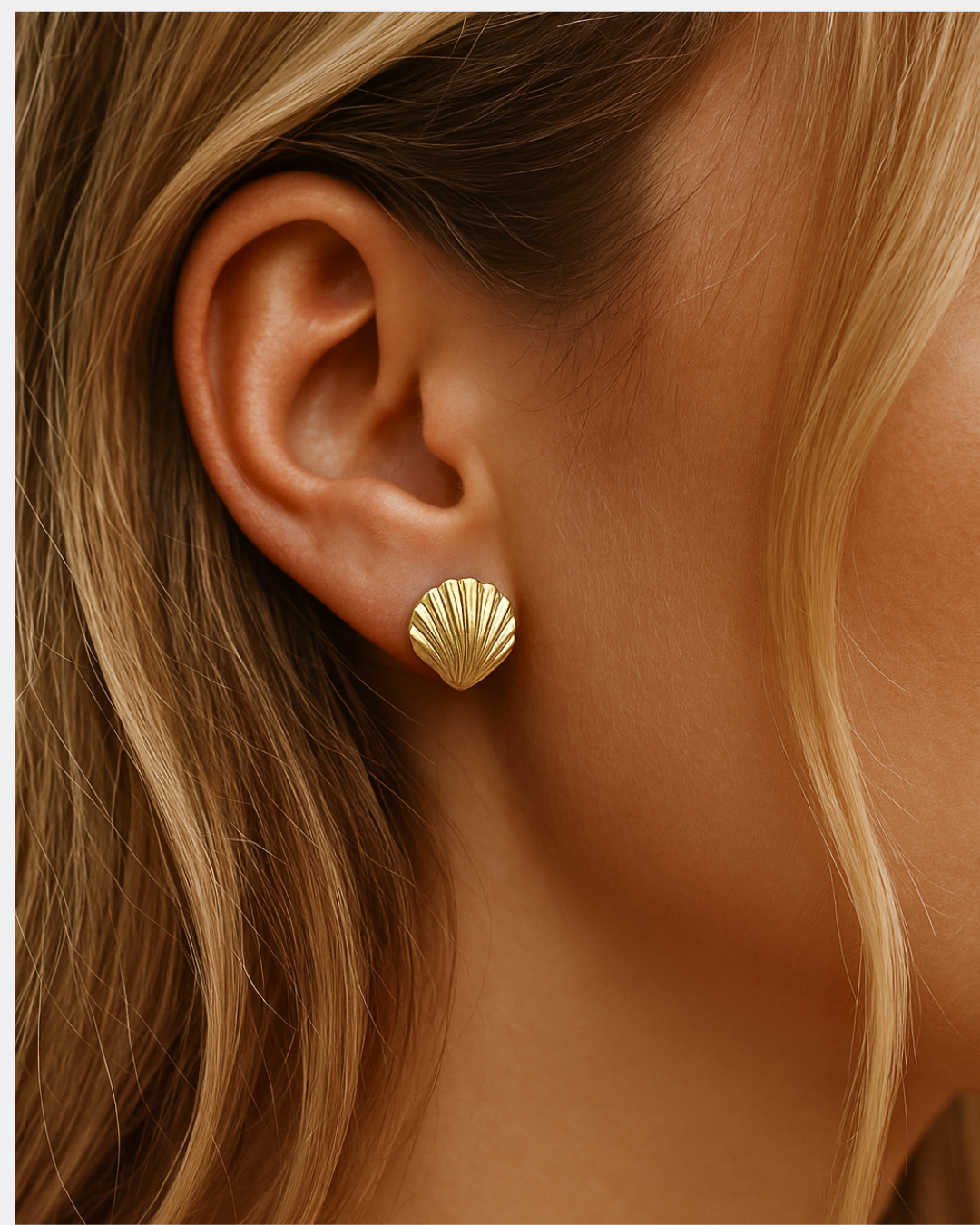 Shell Earrings