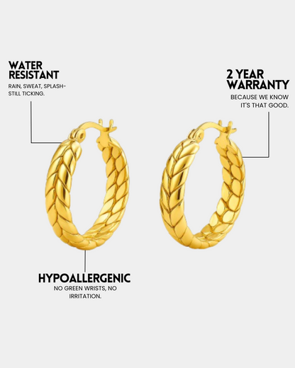 Twist & Shine Earrings